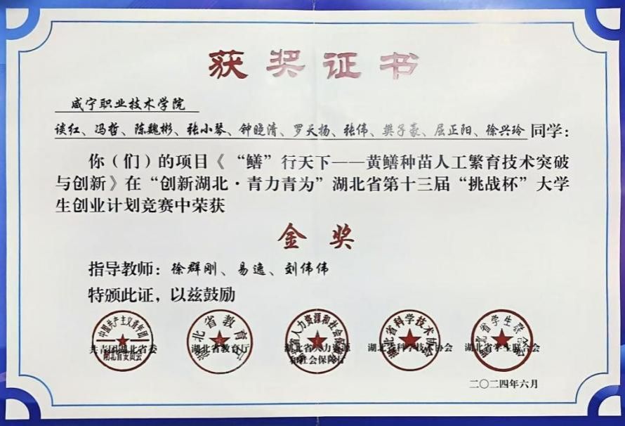 image5.jpeg